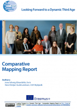 Mapping Report Screenshot