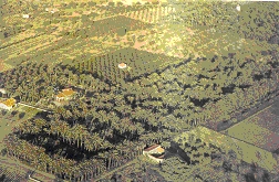 campos