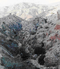 ladera