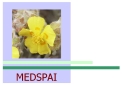 med Spai